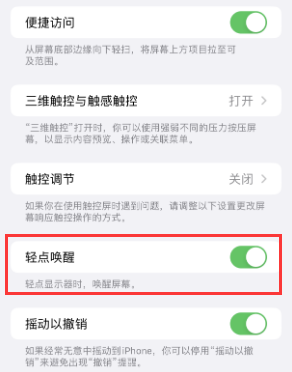 惠水苹果授权维修站分享iPhone轻点无法唤醒怎么办