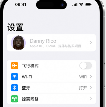 惠水appleID维修服务iPhone设置中Apple ID显示为灰色无法使用