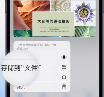 惠水apple维修中心分享iPhone文件应用中存储和找到下载文件