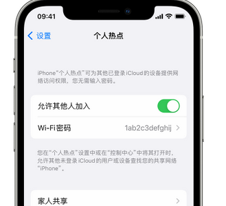 惠水apple服务站点分享iPhone上个人热点丢失了怎么办