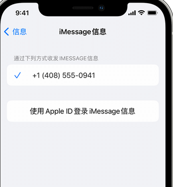 惠水apple维修iPhone上无法正常发送iMessage信息 