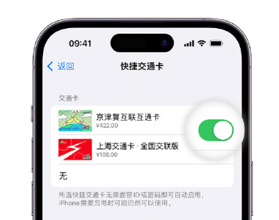 惠水apple维修点分享iPhone上更换Apple Pay快捷交通卡手绘卡面 