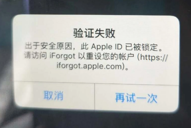 惠水iPhone维修分享iPhone上正常登录或使用AppleID怎么办 