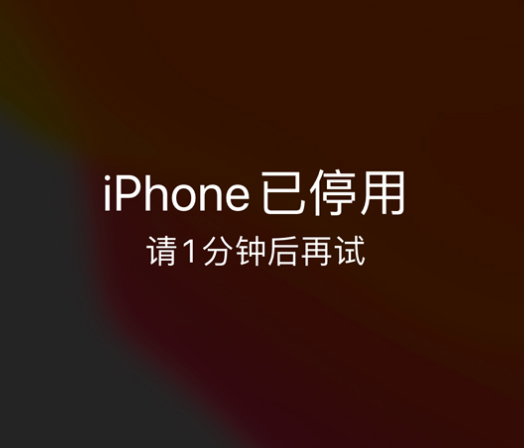 惠水苹果手机维修分享:iPhone 显示“不可用”或“已停用”怎么办？还能保留数据吗？ 