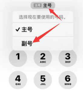 惠水苹果14维修店分享iPhone 14 Pro Max使用副卡打电话的方法 