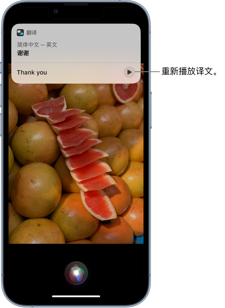 惠水苹果14维修分享 iPhone 14 机型中使用 Siri：了解 Siri 能帮你做什么 