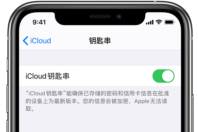 惠水苹果手机维修分享在 iPhone 上开启 iCloud 钥匙串之后会储存哪些信息 