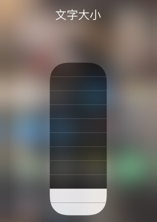 惠水苹果手机维修分享小技巧：在 iPhone 控制中心快速调节字体大小 