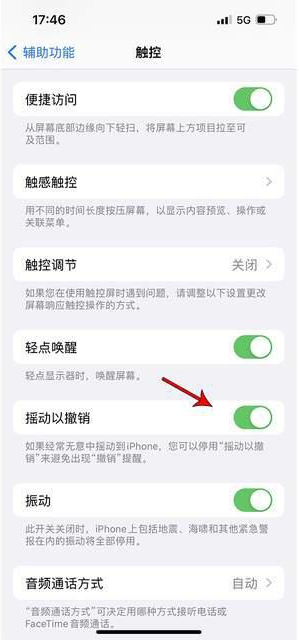 惠水苹果手机维修分享iPhone手机如何设置摇一摇删除文字 